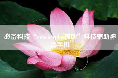 必备科技“wepokerplus辅助”科技辅助神器手机