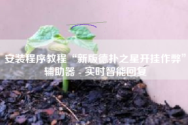 安装程序教程“新版德扑之星开挂作弊”辅助器 - 实时智能回复