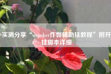 实测分享“wepoker作弊辅助挂教程	”附开挂脚本详细