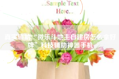 真实辅助“微乐斗地主自建房怎么拿好牌”科技辅助神器手机 真实辅助“微乐斗地主自建房怎么拿好牌”科技辅助神器手机