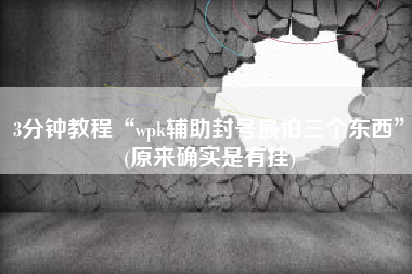 3分钟教程“wpk辅助封号最怕三个东西	”(原来确实是有挂)