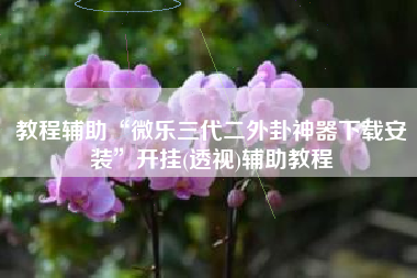 教程辅助“微乐三代二外卦神器下载安装”开挂(透视)辅助教程