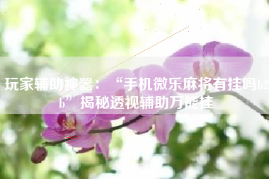 玩家辅助神器：“手机微乐麻将有挂吗b2b”揭秘透视辅助万能挂