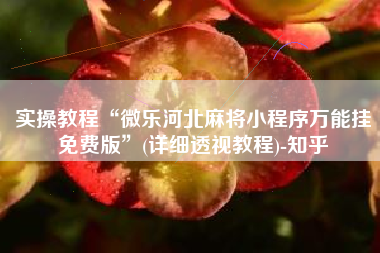 实操教程“微乐河北麻将小程序万能挂免费版”(详细透视教程)-知乎