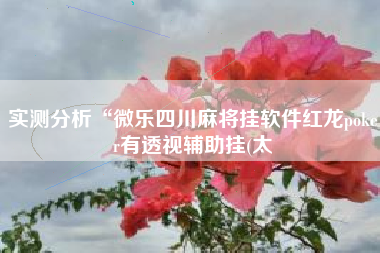 实测分析“微乐四川麻将挂软件红龙poker有透视辅助挂(太