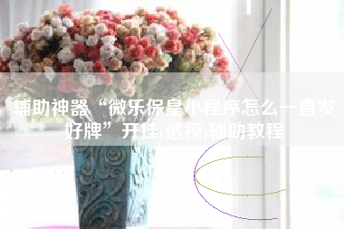 辅助神器“微乐保皇小程序怎么一直发好牌”开挂(透视)辅助教程