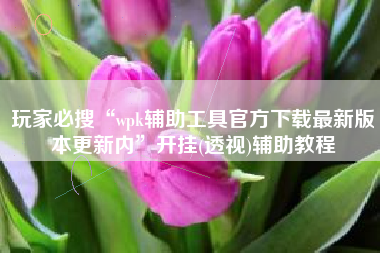 玩家必搜“wpk辅助工具官方下载最新版本更新内”开挂(透视)辅助教程