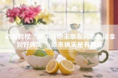 必看教程“微乐斗地主亲友房怎么能拿到好牌呢”(原来确实是有插件