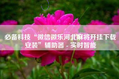 必备科技“微信微乐河北麻将开挂下载安装	”辅助器 - 实时智能