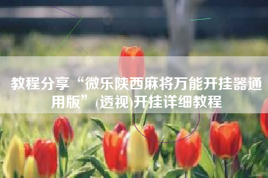 教程分享“微乐陕西麻将万能开挂器通用版”(透视)开挂详细教程