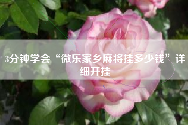 3分钟学会“微乐家乡麻将挂多少钱	”详细开挂