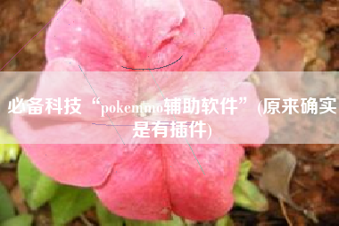 必备科技“pokemmo辅助软件”(原来确实是有插件)