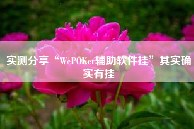 实测分享“WePOKer辅助软件挂”其实确实有挂