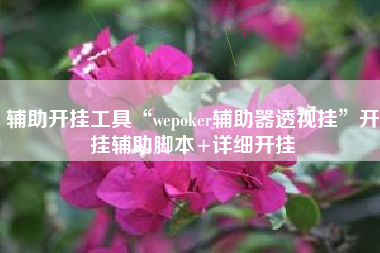 辅助开挂工具“wepoker辅助器透视挂”开挂辅助脚本+详细开挂