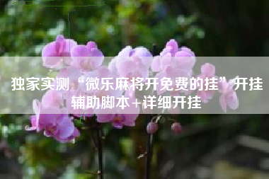 独家实测“微乐麻将开免费的挂”开挂辅助脚本+详细开挂