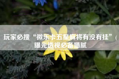 玩家必搜“微乐卡五星麻将有没有挂”(曝光透视必备猫腻