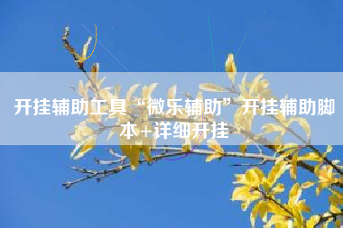 开挂辅助工具“微乐辅助”开挂辅助脚本+详细开挂