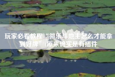 玩家必看教程“微乐斗地主怎么才能拿到好牌”(原来确实是有插件