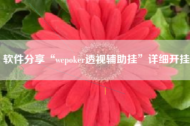 软件分享“wepoker透视辅助挂	”详细开挂