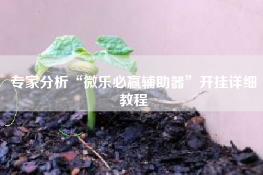 专家分析“微乐必赢辅助器”开挂详细教程