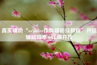 真实辅助“wepoker作弊辅助挂教程”开挂辅助脚本+详细开挂 真实辅助“wepoker作弊辅助挂教程”开挂辅助脚本+详细开挂