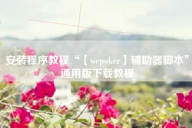 安装程序教程“【wepoker】辅助器脚本	”通用版下载教程