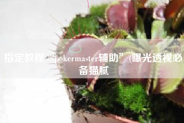 指定教程“pokermaster辅助”(曝光透视必备猫腻