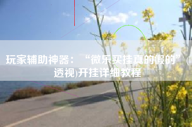 玩家辅助神器：“微乐买挂真的假的	”(透视)开挂详细教程