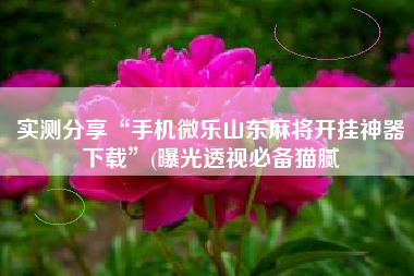 实测分享“手机微乐山东麻将开挂神器下载”(曝光透视必备猫腻