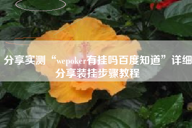 分享实测“wepoker有挂吗百度知道”详细分享装挂步骤教程
