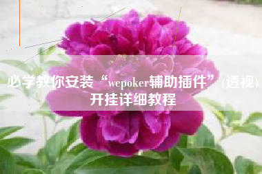 必学教你安装“wepoker辅助插件”(透视)开挂详细教程