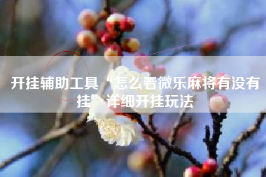 开挂辅助工具“怎么看微乐麻将有没有挂”详细开挂玩法 开挂辅助工具“怎么看微乐麻将有没有挂”详细开挂玩法