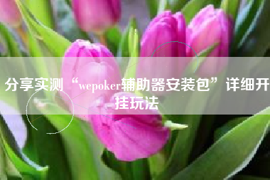 分享实测“wepoker辅助器安装包	”详细开挂玩法