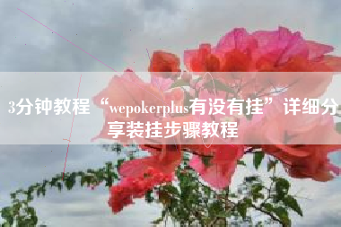 3分钟教程“wepokerplus有没有挂	”详细分享装挂步骤教程