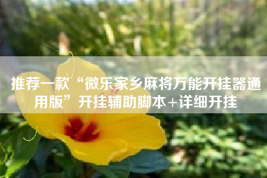 推荐一款“微乐家乡麻将万能开挂器通用版”开挂辅助脚本+详细开挂