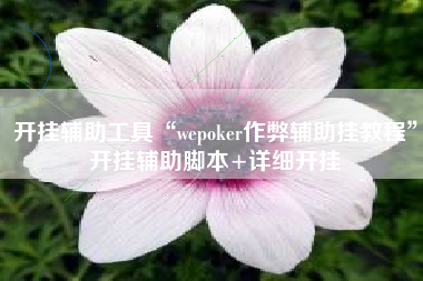 开挂辅助工具“wepoker作弊辅助挂教程”开挂辅助脚本+详细开挂