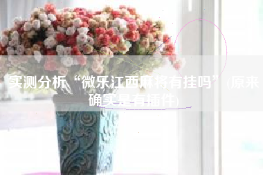 实测分析“微乐江西麻将有挂吗	”(原来确实是有插件)