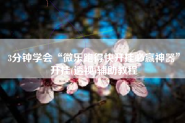 3分钟学会“微乐跑得快开挂必赢神器	”开挂(透视)辅助教程