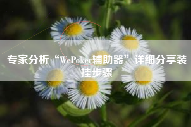 专家分析“WePoker辅助器	”详细分享装挂步骤