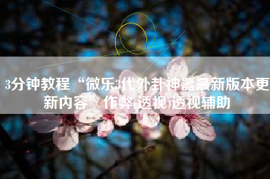 3分钟教程“微乐3代外卦神器最新版本更新内容”作弊(透视)透视辅助