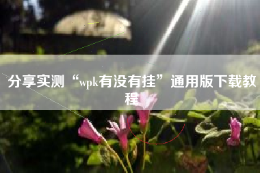 分享实测“wpk有没有挂”通用版下载教程