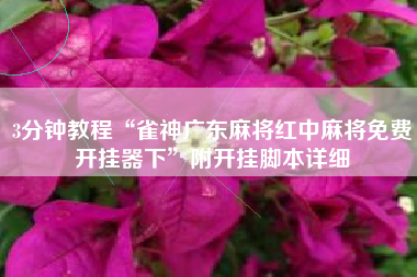 3分钟教程“雀神广东麻将红中麻将免费开挂器下”附开挂脚本详细