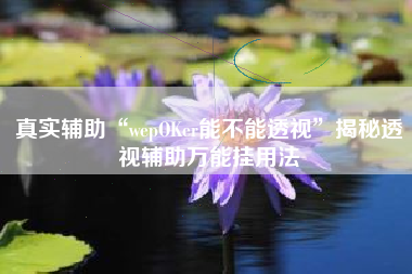 真实辅助“wepOKer能不能透视”揭秘透视辅助万能挂用法