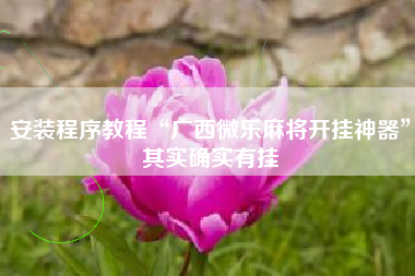 安装程序教程“广西微乐麻将开挂神器”其实确实有挂