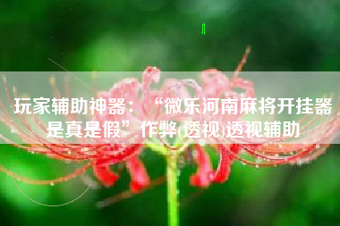 玩家辅助神器：“微乐河南麻将开挂器是真是假”作弊(透视)透视辅助