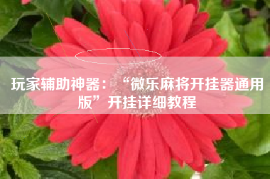 玩家辅助神器：“微乐麻将开挂器通用版”开挂详细教程