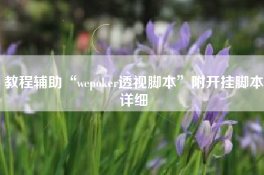教程辅助“wepoker透视脚本	”附开挂脚本详细