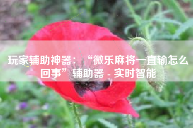 玩家辅助神器：“微乐麻将一直输怎么回事”辅助器 - 实时智能