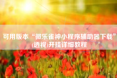 可用版本“微乐雀神小程序辅助器下载”(透视)开挂详细教程