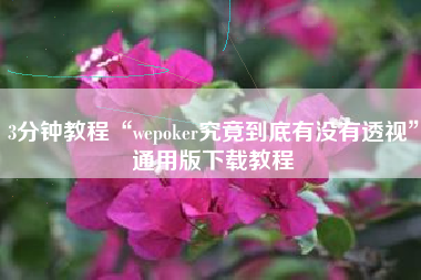 3分钟教程“wepoker究竟到底有没有透视”通用版下载教程